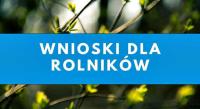 Informacja - przymrozki wiosenne