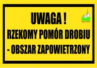 Rzekomy pomór drobiu na terenie Gminy Zbójno